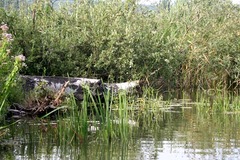 Killikus&reg; Fotographie